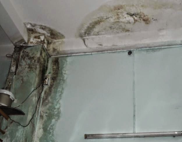Hậu quả khi không xử lý chống thấm dột tường nhà kịp thời
