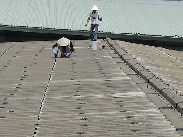 Báo giá chống dột mái tôn hiệu quả, chuyên nghiệp 2026