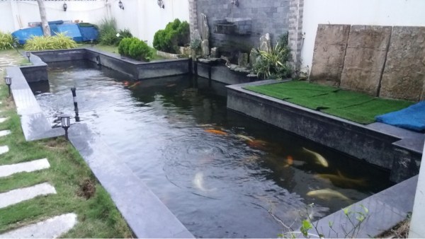 Chống Thấm Hồ Cá: Vật Liệu, Quy Trình Xử Lý Hiệu Quả